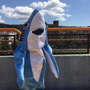 Meet your Posher, Matthew